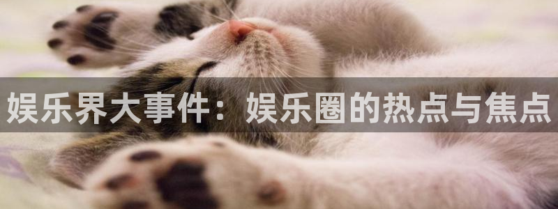 社会热点后续进展