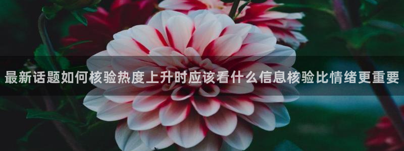 理性吃瓜