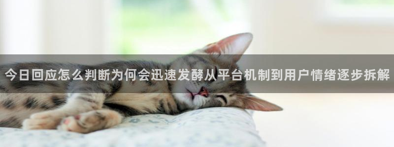 社会热点事件始末