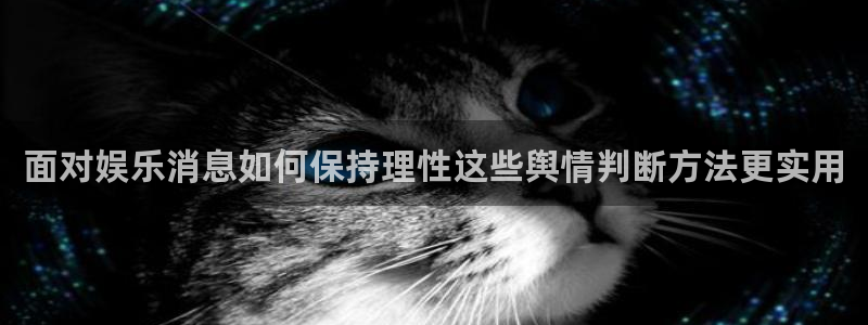 网络热点事件始末