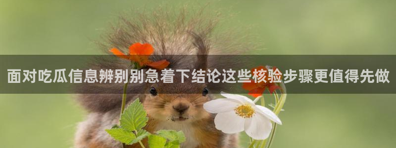 娱乐吃瓜今日更新