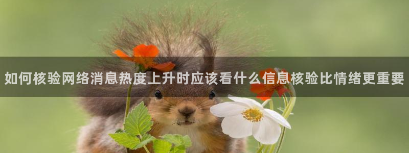 热门吃瓜