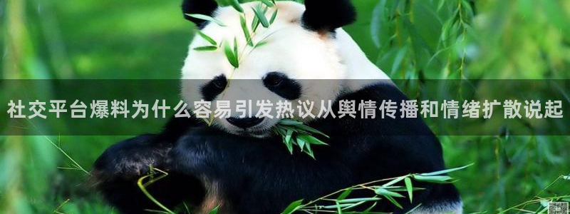 51吃瓜完整时间线