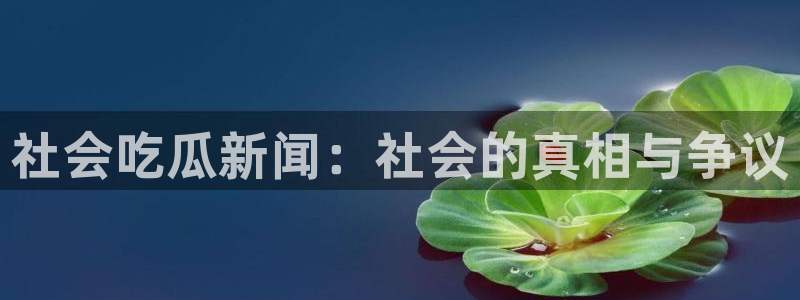职场热点信息核验
